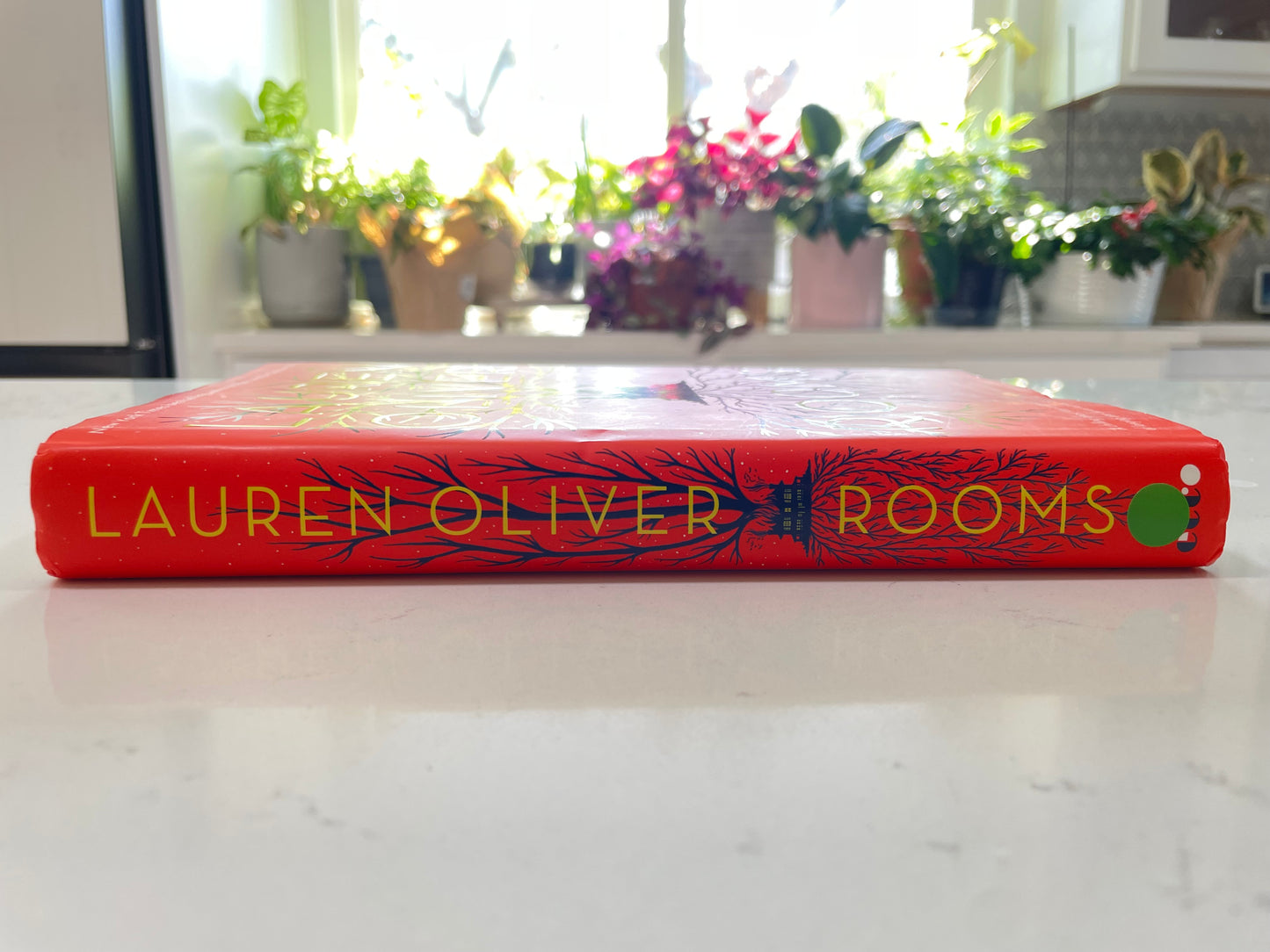 Rooms (used book)