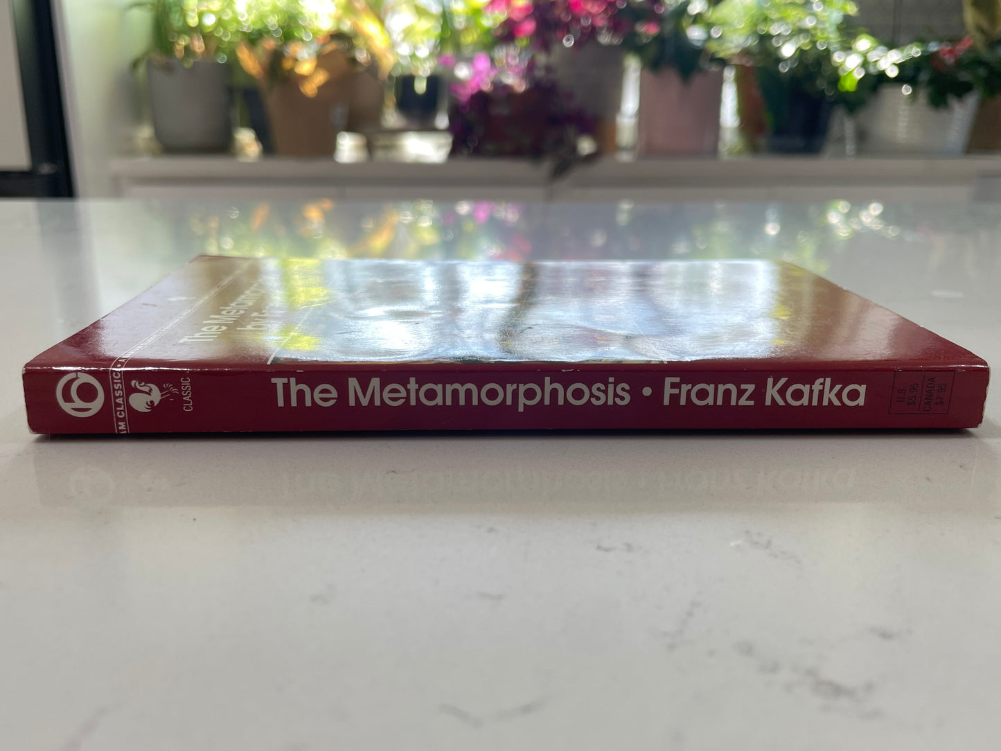 The Metamorphosis (used book)