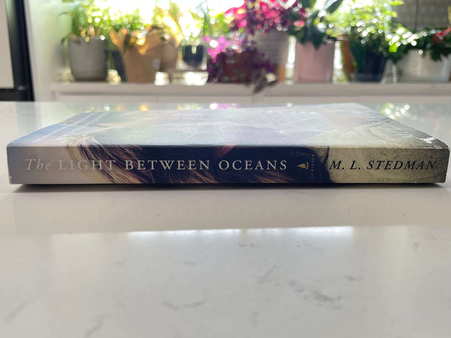 The Light Between Oceans (used book)