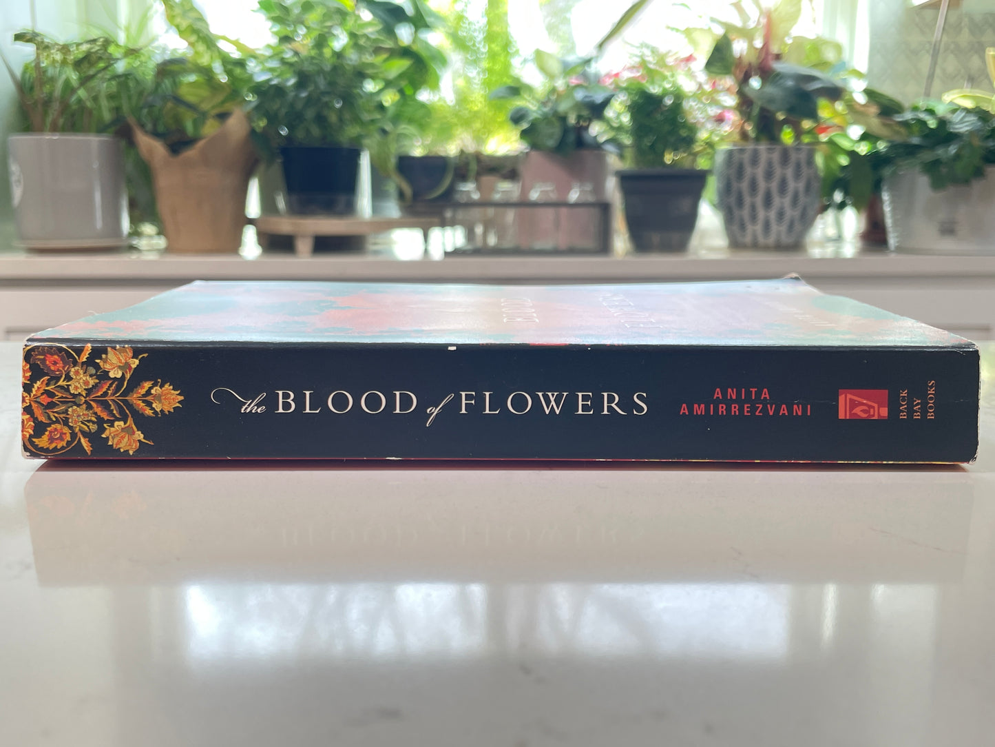 The Blood of Flowers by Anita Amirrezvani (secondhand book)