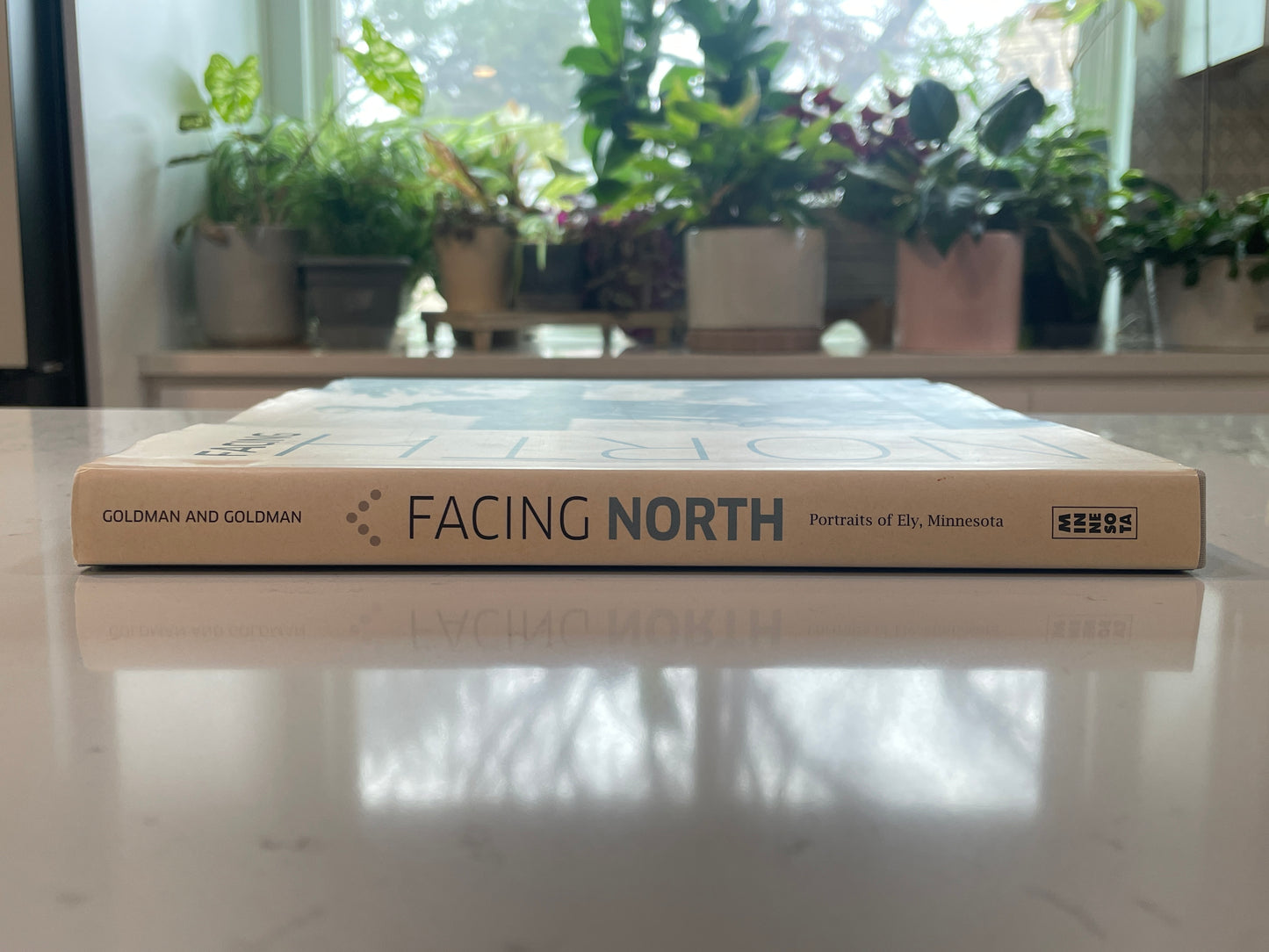 Facing North (used book)