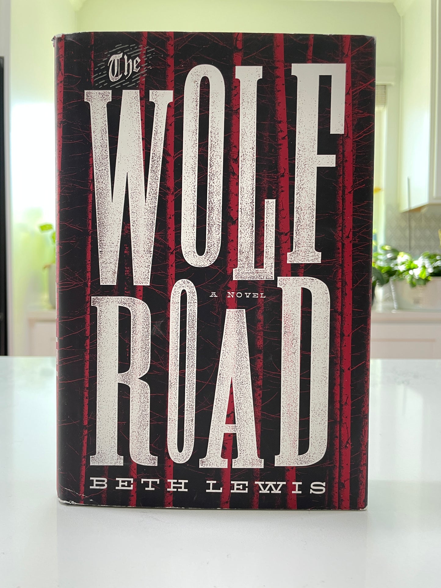 The Wolf Road by Beth Lewis (used book)